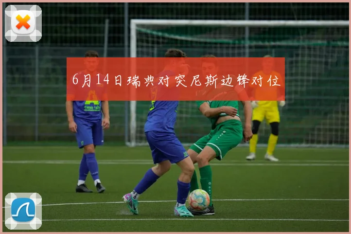 6月14日瑞典对突尼斯边锋对位