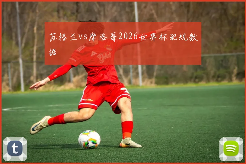 苏格兰vs摩洛哥2026世界杯犯规数据