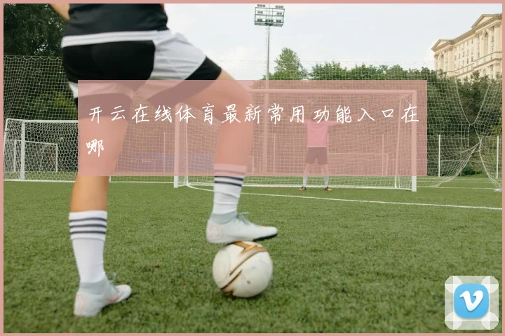 开云在线体育最新常用功能入口在哪