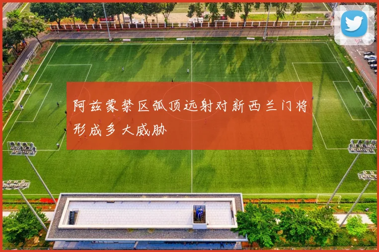 阿兹蒙禁区弧顶远射对新西兰门将形成多大威胁